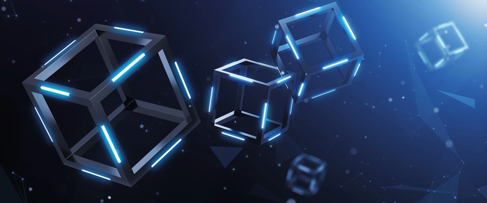 BLOCKCHAIN DEVELOPMENT COMPANY